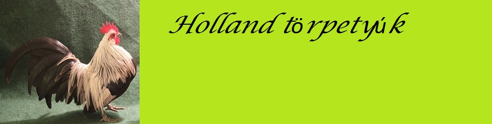 hollandtorpetyuk